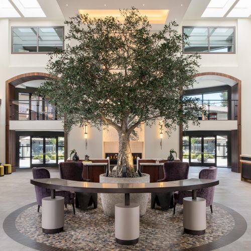A bright, modern lobby with a large central tree surrounded by a circular seating table and stools, upper balconies, and soft natural light.