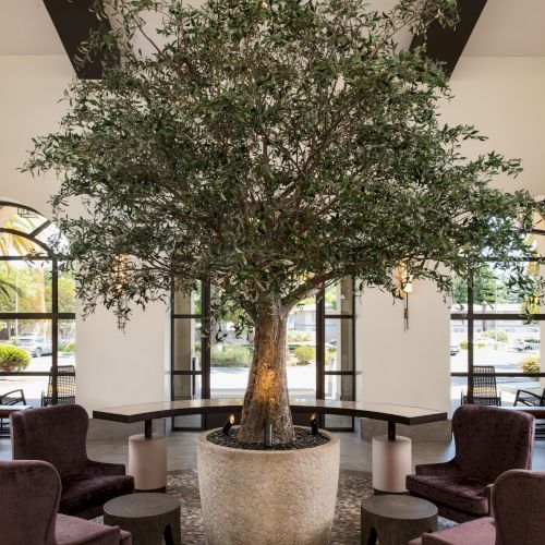 A large indoor tree in a round pot anchors a seating area with four mauve armchairs and small side tables, under ceiling beams.