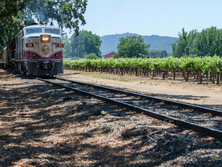 A vintage diesel train stops beside parallel tracks, with a vineyard on the right and green hills in the background.